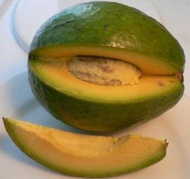 aguacate-2.jpg