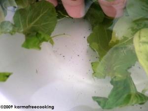 dirt-in-produce dirt-in-produce