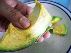 Picando Aguacate 5