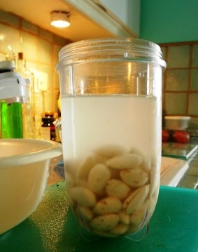 almond milk how to 2