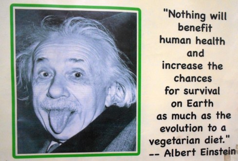 Einstein Quote