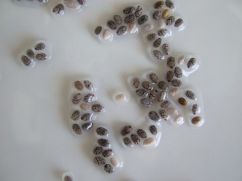 chia-seeds-gel